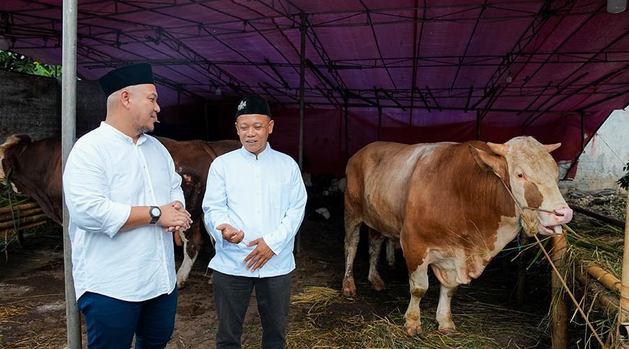 Grab Indonesia dan OVO Sumbang Hewan Kurban