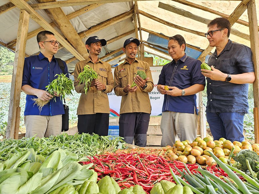 Astra dan PIP Dukung Sertifikasi Good Agriculture Practices (GAP)