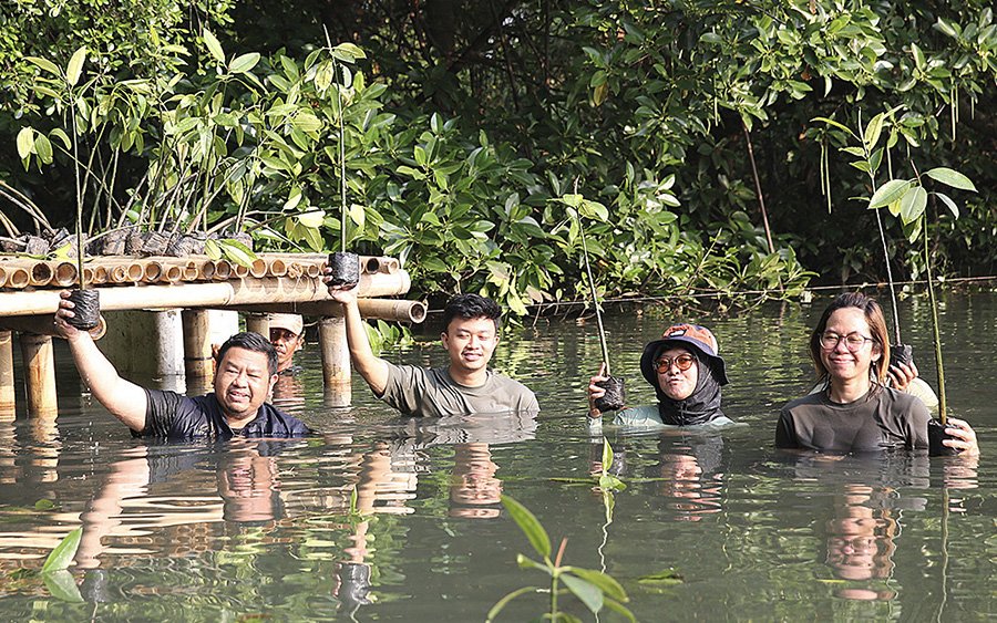 Aksi Tanam Mangrove Arya Noble Group&nbsp;