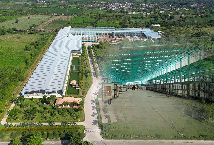 ARNA Dorong Pertumbuhan Penjualan Jangka Panjang