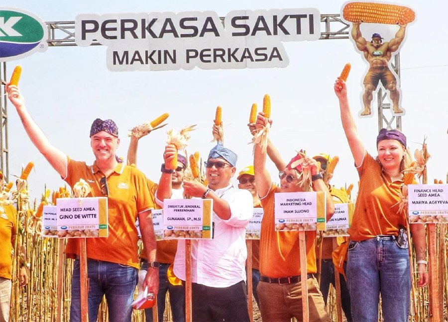 Syngenta Luncurkan Jagung Hibrida Teknologi Tinggi