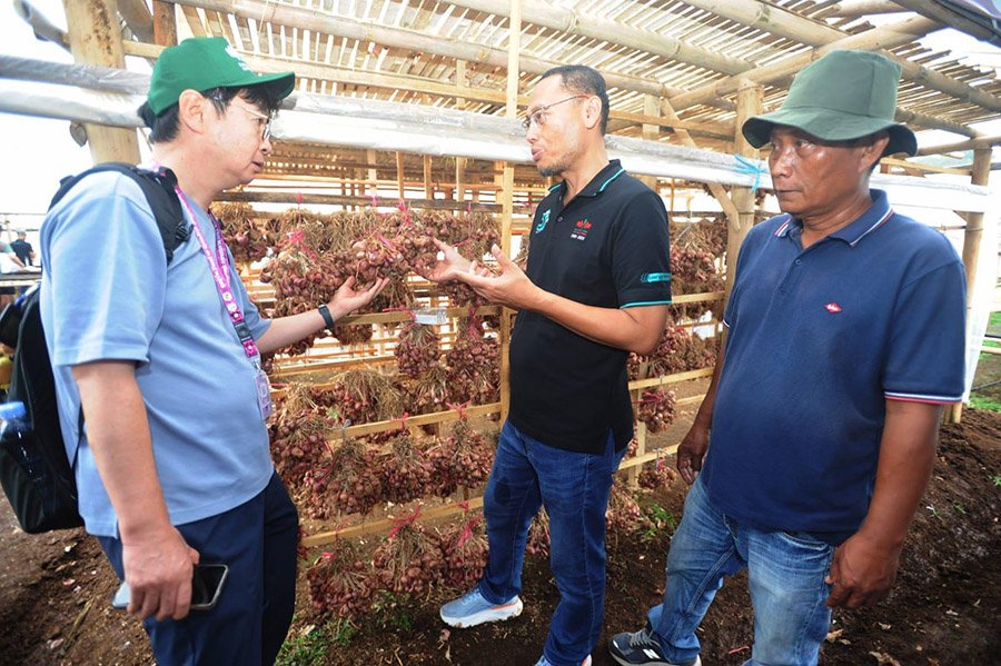 Delegasi 20 Negara Pelajari Inovasi Bawang Merah di Indonesia