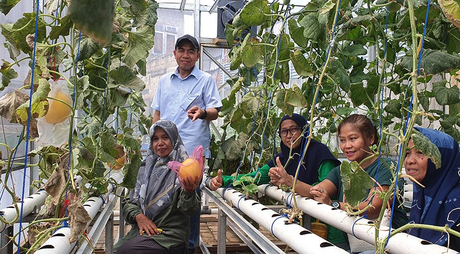 Kelompok Wanita Tani “Good Farm” Kembangkan Tanaman Produksi