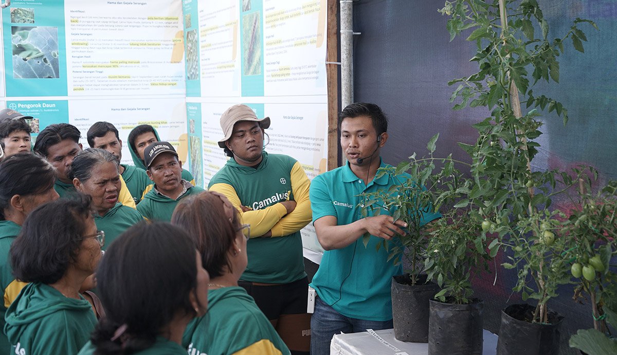 Bayer Indonesia Luncurkan Camalus, Inovasi Insektisida Sistemik Ganda 