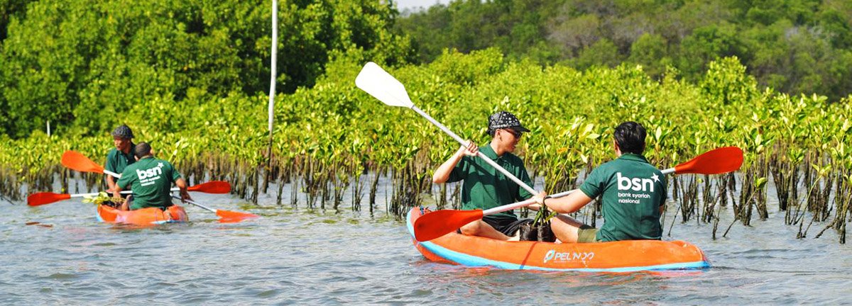 Hari Mangrove Sedunia 2026, Bank BSN Dorong Pelestarian Ekosistem Pesisir
