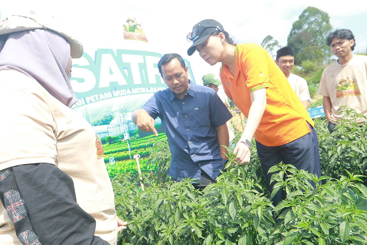  Bayer Akselerasi Regenerasi Petani Indonesia Melalui Program SATRIA