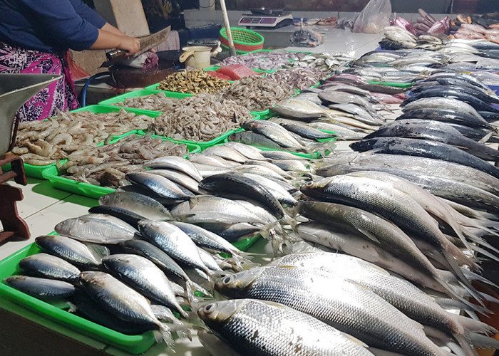 Kementerian KKP Proyeksikan Produksi Ikan Nasional 10,57 Juta Ton
