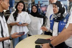  Diskon Tarif, Penumpang Pelni Terdongkrak