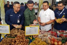 PT Pos Indonesia – PT RTN Soft Launching Agripost