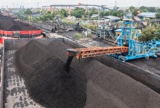 PT Bukit Asam (Persero) Tbk Kenalkan Inovasi Hasil Hilirisasi Batu Bara